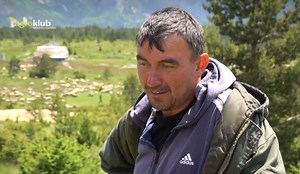 Ivan Perko iz Rakitna – pastir koji čuva 800 ovaca na Blidinju - Jabuka.tv