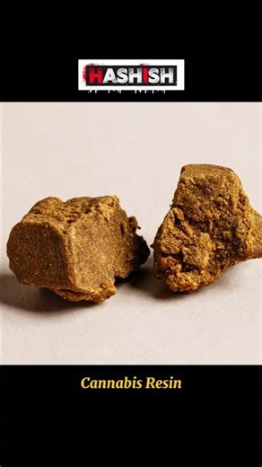 HASHISH #hashish || WHAT IS HASHISH #shorts#viral#trending