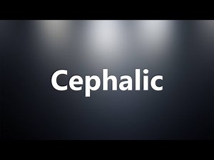Cephalic - Medical Definition and Pronunciation