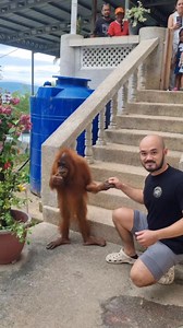 314K views · 3.3K reactions | Mananap tour at Red Mangrove Beach Resort列 | Supreme Exotics PH | Facebook