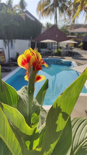 Paz, tranquilidad y privacidad☀️Disfruta cada estadía en playa El Tunco aquí en Hotel Tunco Lodge. 😀☀️#travel #elsalvador #eltuncobeach #elsalvadortravel #ConSantanderConecto
