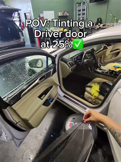 25% Tint Installation POV | Driver Side Door Window