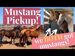 WILD MUSTANG Pick up! (yup.. I got another one! 😆)