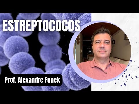 ESTREPTOCOCOS (STREPTOCOCCUS) - PROF. ALEXANDRE FUNCK