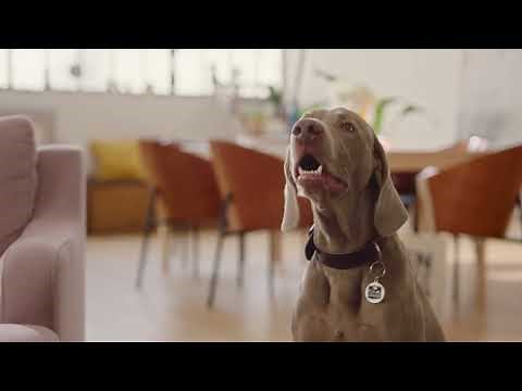 Une recherche d’appartement ? Citya t’attend !