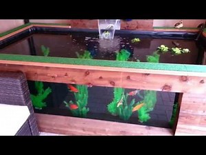 Raised Pond with viewing window ( part 1 of 3 )