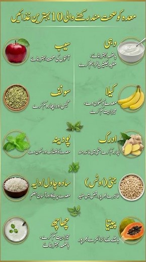 Top 10 Best Foods for a Healthy Stomach | Improve Digestion Naturally
