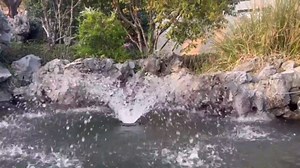 RGB Pond Fountain Aerator,20000GPH Floating Aerating Pump, 50ft Power Cord, Time Control, Perfect for Ponds & Lakes (8000GPH)