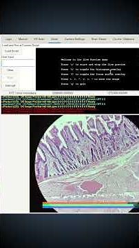 'First Might' - Controlling the CNC microscope stage with the PARDUS software for the first time.