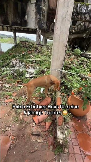 Pablo Escobar's house for daughter