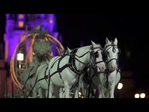 Magic Kingdom After Hours Wedding I Disney Weddings