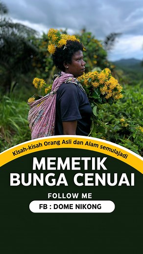 Wanita Batek dan bunga tak dapat dipisahkan, ianya tradisi dari leluhur mereka yang masih diamalkan sehingga kini. #orangasli #bunga #flowers #woman #flowerseveryonehighlights | Dome Nikong