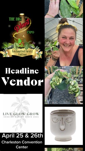 🌿✨ HEADLINE VENDOR ANNOUNCEMENT ✨🌿 We are beyond excited to welcome @live.glow.grow, as an official Headline Vendor! Based out of a backyard commercial greenhouse in Georgia, Jess is known for curating an incredible selection of Hoya plants, from fan favorites to rare, highly sought-after collector varieties, along with thoughtfully chosen plant accessories and lifestyle goods. Her brand is rooted in intention and joy, empowering plant parents to Live boldly, Glow confidently, and Grow beautif
