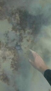 2.5K views · 50 reactions | Pls help find the owner! #hawaii #diving #underwater #models #ocean #diver #shipwreck | CEO Of The Ocean | Facebook