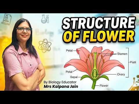 Structure of a Flower | Complete Biology Guide| 21 Years Experienced Biology Educator