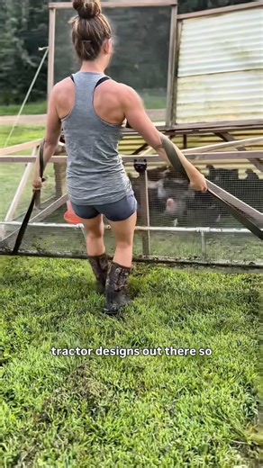 Chicken Tractor Design Tips #homesteading #meatchickens #chickentractor