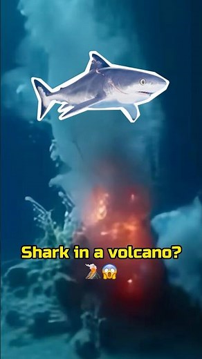 7 Types of Sharks — From Harmless to Volcano Monster 🦈🌋 #animalfacts #sharks #wildlife #shorts