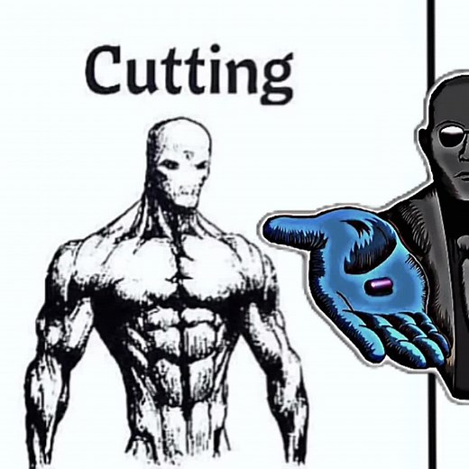 Bodybuilding: Choosing Between Cutting and Bulking