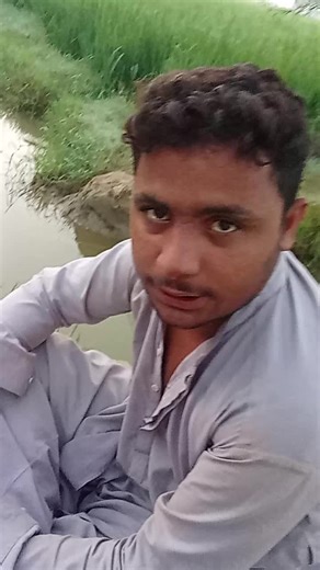 #accountmenagemintservice available WhatsApp number in bio#foryoupage