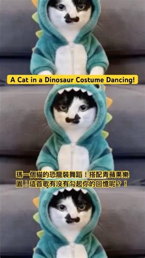 瑪一個貓的恐龍裝舞蹈！搭配青蘋果樂園！這首歌有沒有勾起你的回憶呢❤️A Cat in a Dinosaur Costume Dancing! #cat #貓咪日常 #funny #懷舊經典
