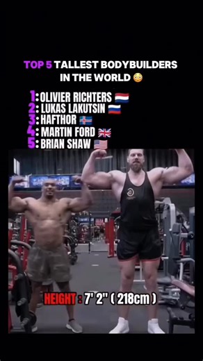 WORLD BODYBUILDING DIRECTORY 🇮🇷 on Instagram: "TOP 5 TALLEST BODYBUILDERS IN THE WORLD #TallBodybuilders #TallAndJacked #GiantPhysique #EliteGenetics #BodybuildingLifestyle #MuscleLuxury #FitnessIcons #MassMonsters #ProBodybuilders #NextLevelPhysique"