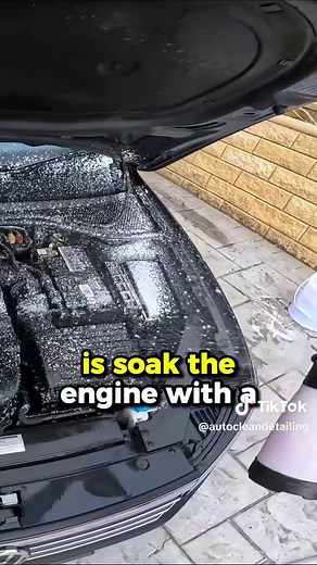 Engine Bay Detailing: Safe Cleaning Steps and Myths Debunked!