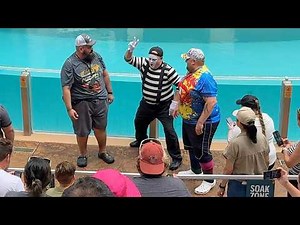 LAUGH OUT LOUD With Mime Tom at SeaWorld Orlando | Full Show