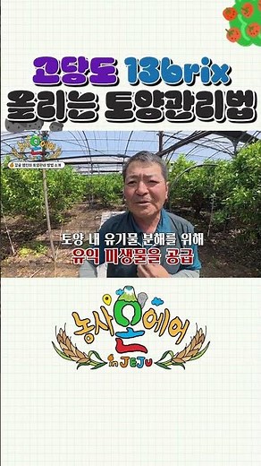 고당도 13브릭스 감귤을 만든 진짜 비결.. 완효성 비료와 토양 미생물 활용