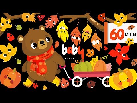 Bear Sensory Autumn Journey For Babies: Pumpkins & Dancing Leaves High Contrast Visual Stimulation🍁