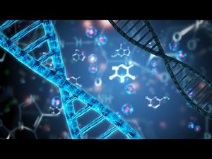 What is DNA?