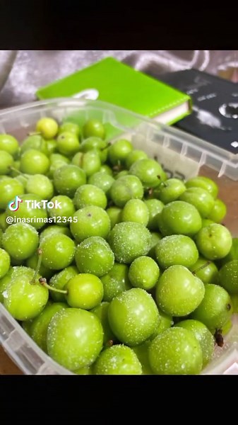 Discover Unique Lebanese Cuisine and Snacks