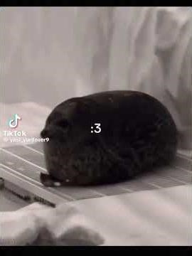 will ‪@scottfrenzel‬ actually comment?