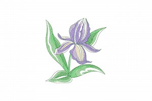 Iris Flower Embroidery Design, Iris Flower Machine Embroidery Design, 4 Sizes, Instant Download File - Etsy Canada