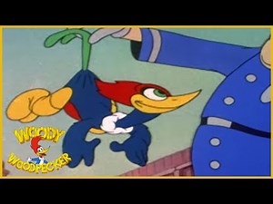 Woody Woodpecker | The Screwball | Old Cartoons | Woody Woodpecker Full Episodes | Videos for Kids