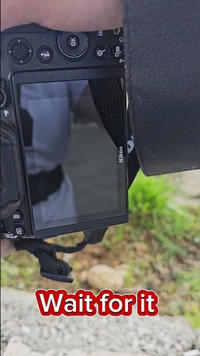 Nikon Z6II Setting for MIND-BLOWING Flower Photos