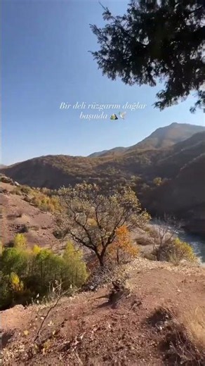 Dersim #explore #reels #vlog #dersim #shorts #village #nature #love #peace #forest #video #scener...