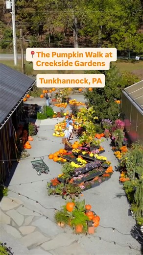 Fall comes alive at Creekside Gardens in Tunkhannock with their annual Pumpkin Walk! Stop by this family-friendly event featuring glowing gourds Tuesdays through Sundays until the end of October. 🎃 #DiscoverNEPA | DiscoverNEPA