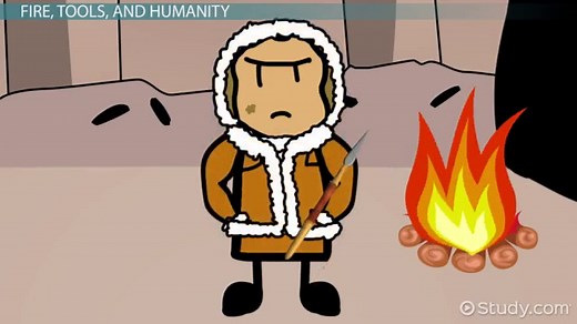 Hunter-Gatherer Society | Definition, History & Facts