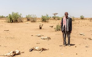 Climate Change and Disaster-Related Displacement | | UK for UNHCR