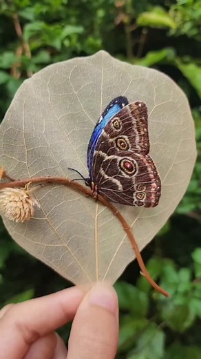70K views · 1.5K reactions | WORKSHOP DE BORDADO EM SP  A convite de...