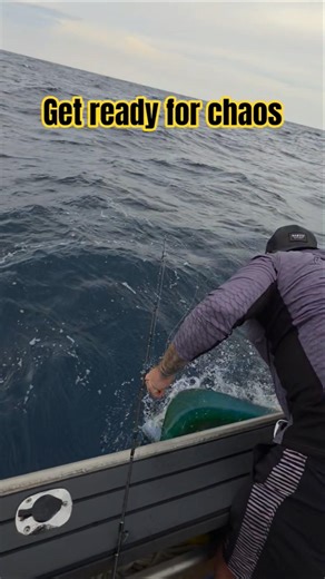 Mahi go mental!