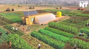 3.1M views · 44K shares | This ‘farm from a box’ can feed an entire community | NowThis Earth | Facebook