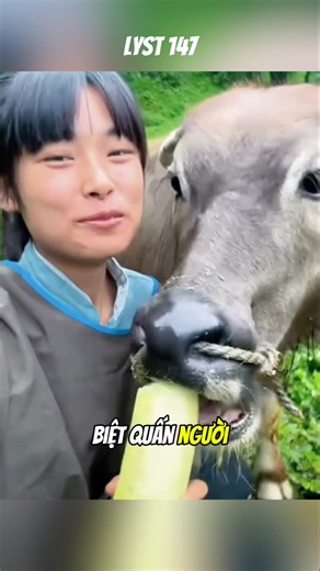 What do you think about keeping a water buffalo as a pet? #animals