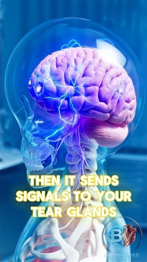 What REALLY Happens Inside Your Body When You Cry? 😢