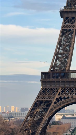 🇫🇷 Vivez le 1er étage de la tour Eiffel ✨ Installez-vous dans la bulle pour une pause gourmande, dégustez un brunch ou un verre à Madame Brasserie tour Eiffel, profitez du bistrot, flânez dans la boutique officielle, osez marcher sur le plancher de verre ou découvrez l’histoire de la Tour dans la coursive. Une visite qui a tout pour plaire ! 🌐Experience the first floor of the Eiffel Tower ✨ Settle into the bubble for a gourmet break, enjoy brunch or a drink at Madame Brasserie, relax in the b