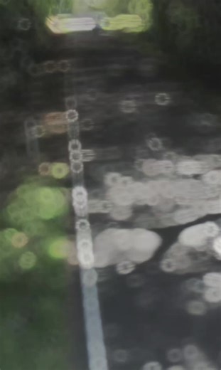 7 Effective Techniques for Clearing Your Mind While Driving