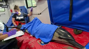 New dolphin rescue facility hopes to help marine mammals stranded off Cape Cod