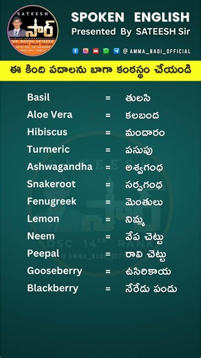 30 రోజుల్లో ఇంగ్లీష్ నేర్చుకోండి ✅ | Subscribe Now #035 #SpokenEnglishTelugu