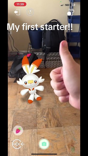 Funny Scorbunny Meme: Snacks and Neck Scratches