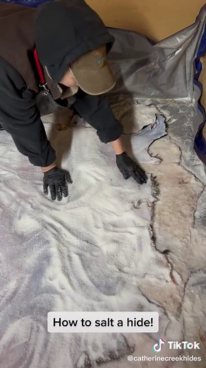 Michelle Steevens on TikTok